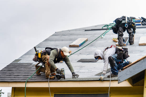 Professional Gutter Installation technician working in Eastport, ID